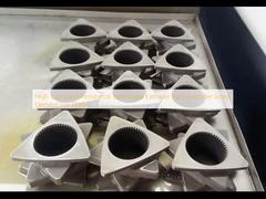 고성화 저항성 쌍 나사 추출기 부품 추출기 나사 요소 TEX54